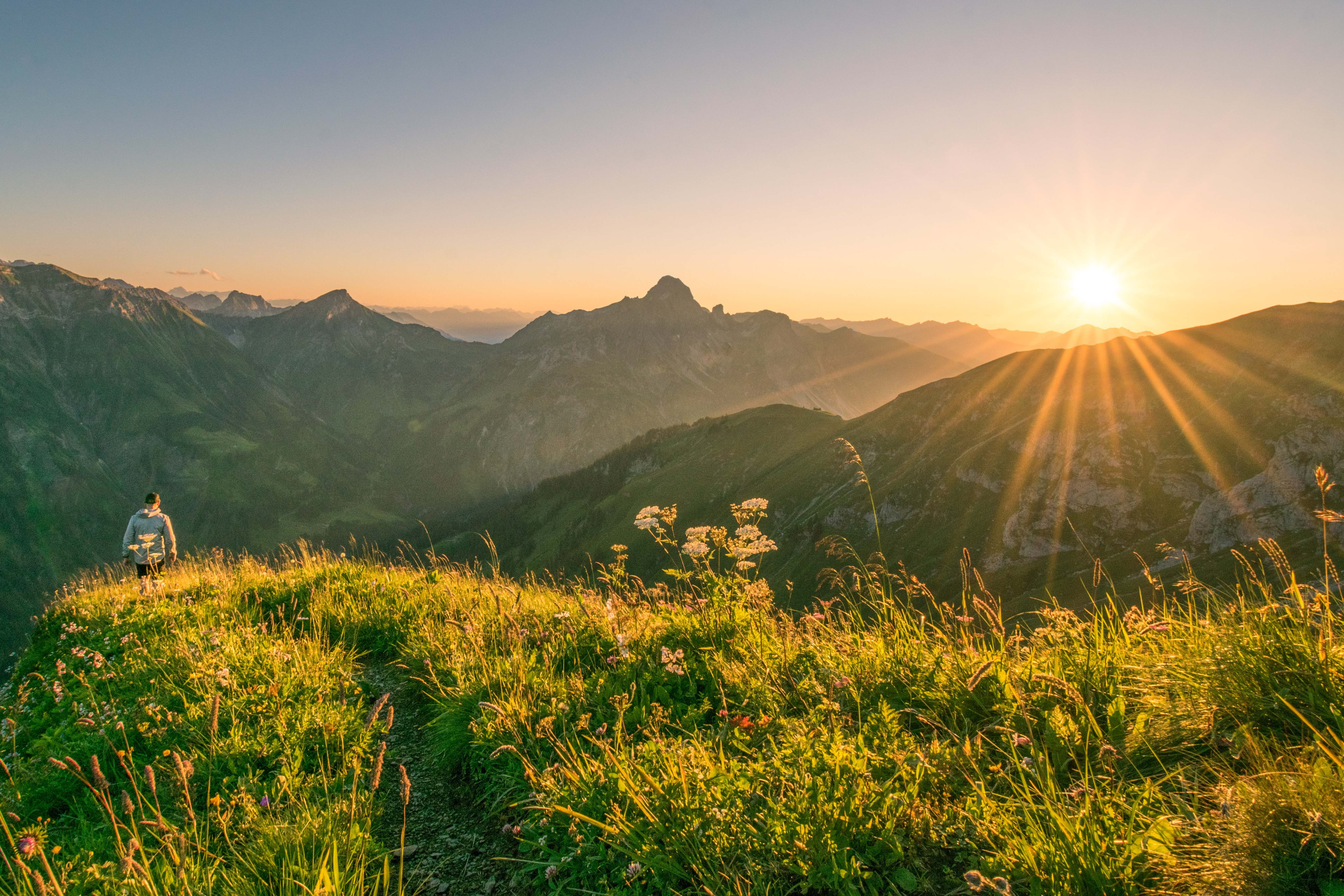 Bergpanorama im Bregenzerwald im Sommer